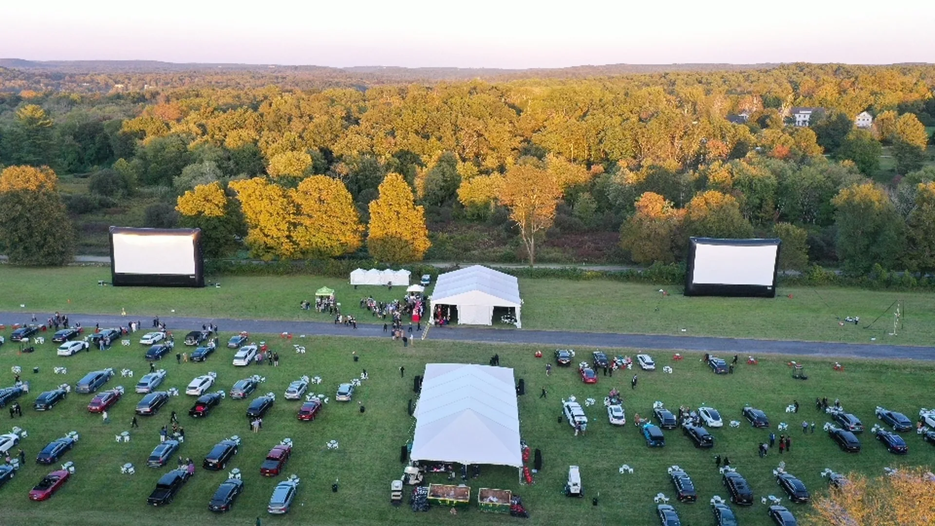 Backyard Movie Night Ideas